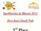 awards 003