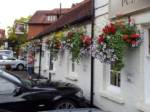 hanging-baskets 003