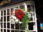 hanging-baskets 004