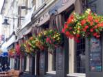 hanging-baskets 010