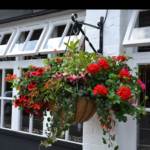 hanging-baskets 021