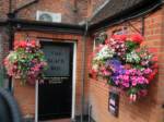 hanging-baskets 034