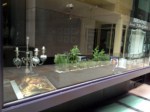 herb-displays 017