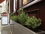 herb-displays 021