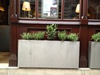 herb-displays 022