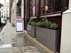 herb-displays 023
