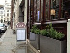herb-displays 026