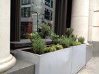 herb-displays 031