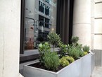 herb-displays 032