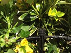 irrigation-systems 008