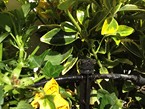 irrigation-systems 009