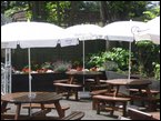 outdoor-plants 002