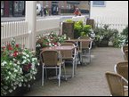 outdoor-plants 005