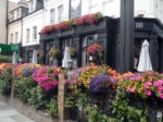 window-boxes 003