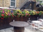 window-boxes 004