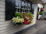 window-boxes 006