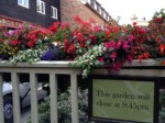 window-boxes 012