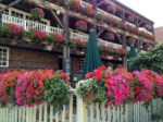 window-boxes 013