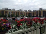 window-boxes 015