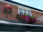 window-boxes 027