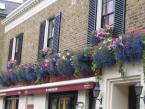 window-boxes 034
