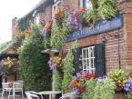 window-boxes 043